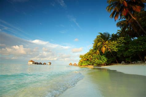 Banco De Imágenes Gratis Playas De Arenas Blancas En Las Islas Maldivas