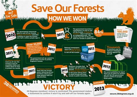 38 Degrees Save Our Forests Campaign Infographic Studio Rokitstudio Rokit