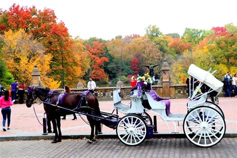 Tripadvisor Nyc Horse Carriage Ride In Central Park 50 Minutes