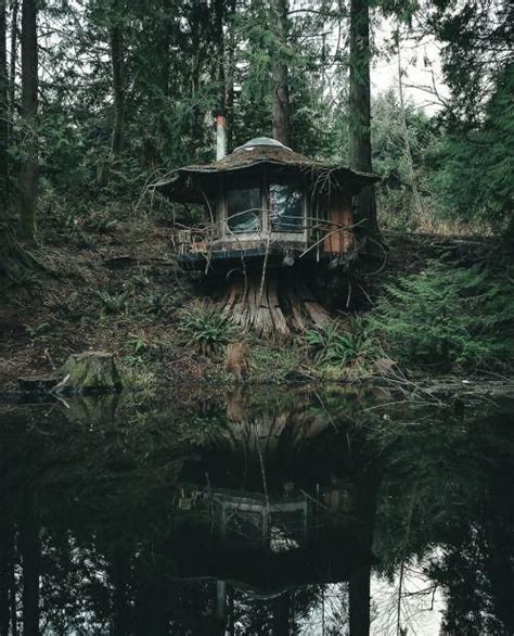 The Stump Cabin In The Pacific North West Cabins Tree House Designs