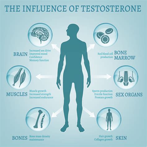 All About Testosterone Therapy American Hgh Clinics
