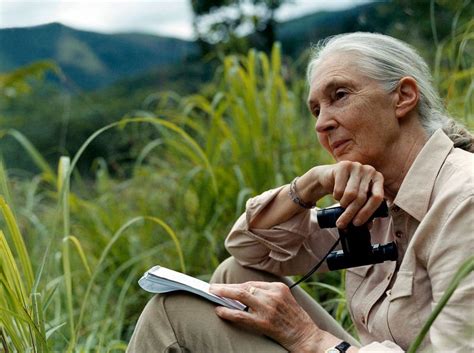 Jane Goodall On Her Hopes For The Natural World