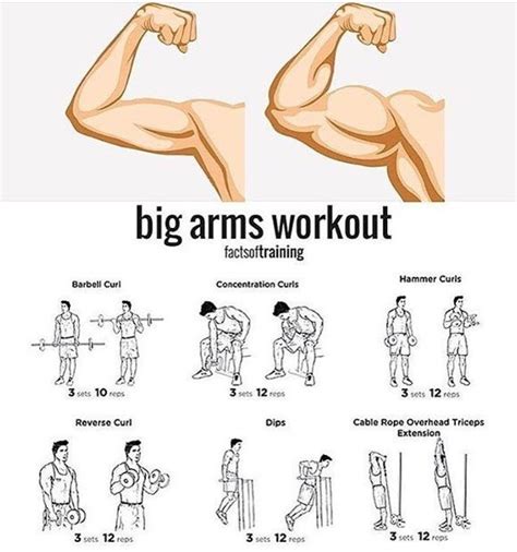the arm workout chart shows how to do it and how to use it in order to gain