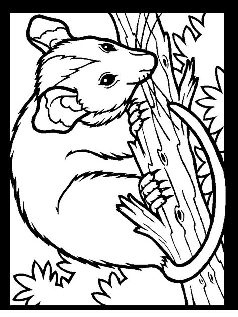 Color in this picture of a possum and others with our library of online coloring pages. color-possum Adult coloring pages