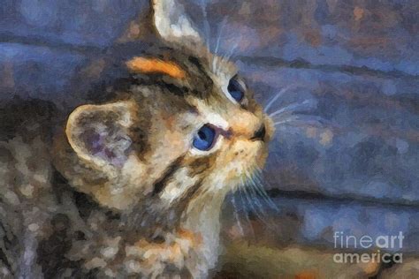 Cute Kitten Oil Painting Digital Art By Jill Lang Pixels