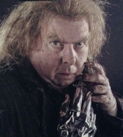 Peter Pettigrew Played By The Incomparable Timothy Spall Harry