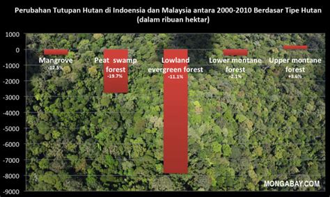 Data Indonesia Kehilangan Juta Hektar Hutan Dalam Satu Dekade Mongabay Co Id