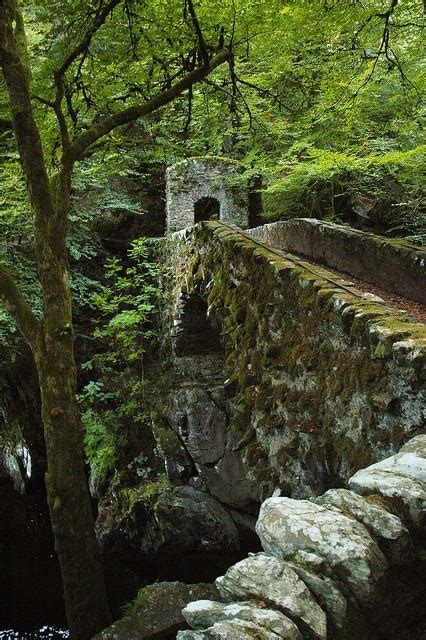 Tower Of The Archmage Sunday Inspirational Image Forest Bridge