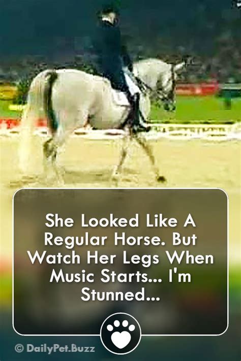 She Looked Like A Regular Horse But Watch Her Legs When Music Starts