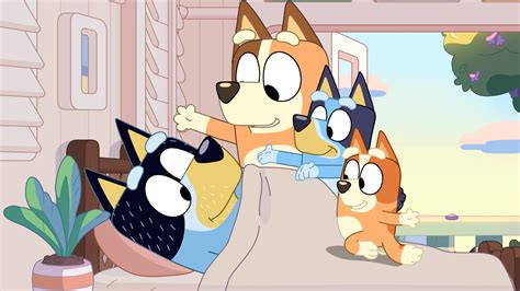 A New Season Of Bluey Is Dropping On Disney Npr