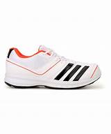 Online Shopping Running Shoes India