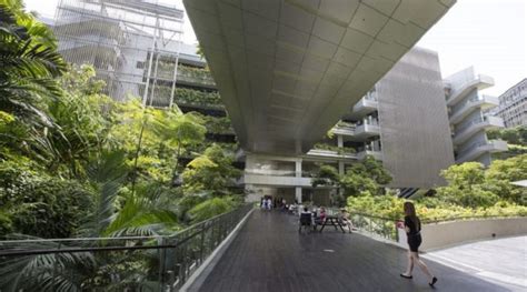 A New Remedy Introducing Biophilic Designs Into Hospitals