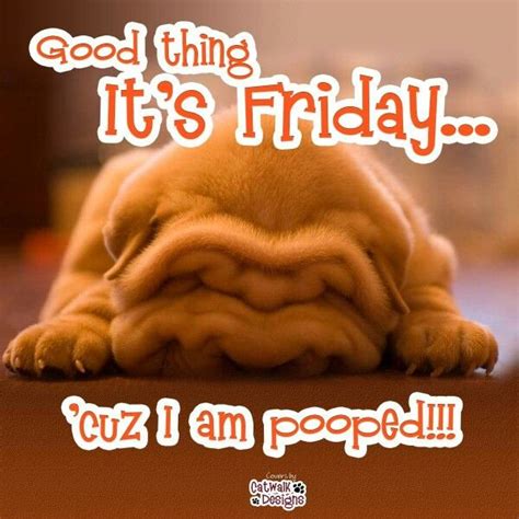 Good Thing Its Friday Cuz I Am Pooped Friday Quotes Humor