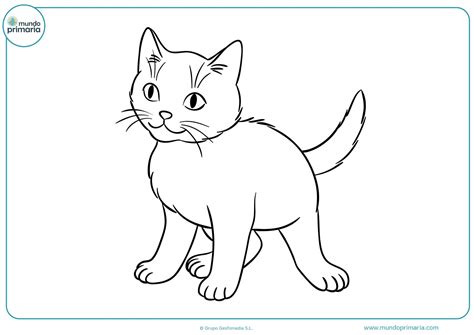 Dibujos De Gatos Para Imprimir Y Colorear Mundo Primaria Images