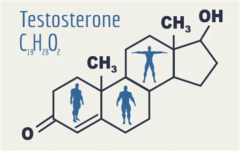 Understanding Testosterone Replacement Therapy