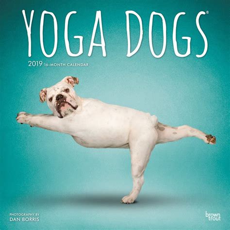 Yoga Dogs 2019 12 X 12 Inch Monthly Square Wall Calendar Animals Humor