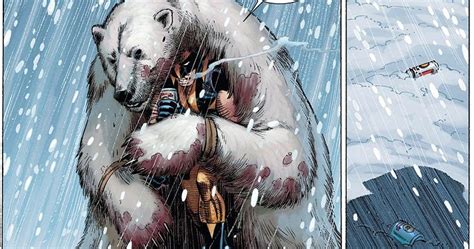 Are You Bad Enough Super Heroes Attacking Polar Bears 4 Wolverine