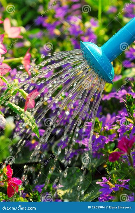 Watering Flowers Stock Images Image 2963904