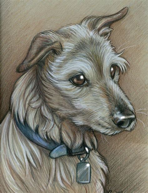 Colored Pencils Dog Portrait By Natsumewolf On Deviantart Dog