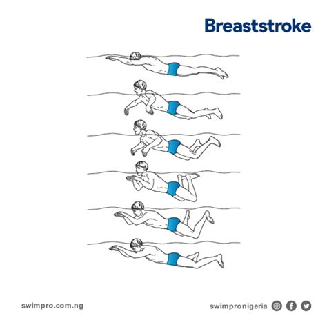 Improving Your Breaststroke Technique Swimpro Personal Swimming