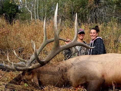 Idaho Elk Hunts Mule Deer Hunting Black Bear Guide Outfitters