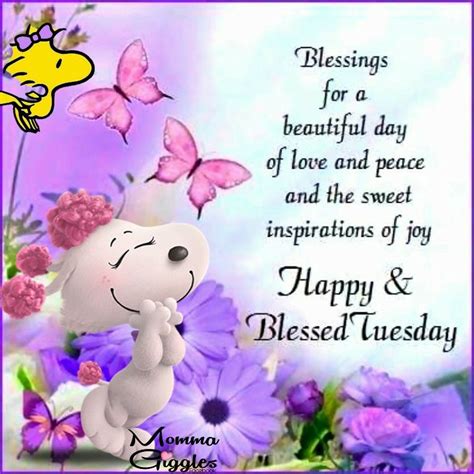 Happy And Blessed Tuesday Pictures Photos And Images For Facebook
