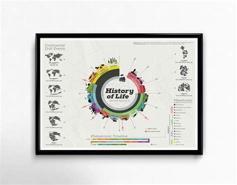 Timeline Infographic Design Examples Ideas Daily Design Inspiration Venngage Gallery