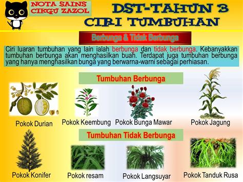 Ada pelbagai tumbuhan di sekeliling kita. Nota Dunia Sains Tahun 3 Ciri-ciri Tumbuhan - Cikgu Zazol