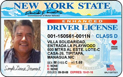 New York Drivers License Passport Online Driver License Online