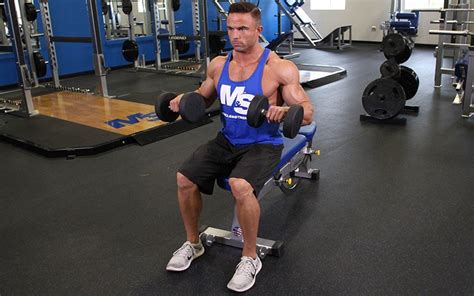 Seated Dumbbell Reverse Curl Video Exercise Guide And Tips