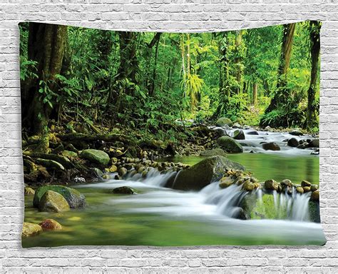 Rainforest Tapestry Mountain Stream In A Tropical Rain Forest Foliage