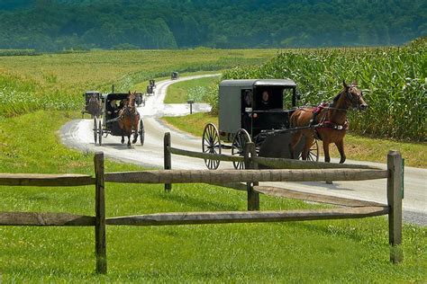 Amish Funeral Amish Country Pennsylvania Amish Country Amish Culture