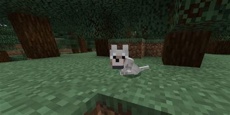 Minecraft How To Breed Wolves Pocket Gamer