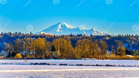 Winter Landscape Of The Fraser Valley In British Columbia Canada With