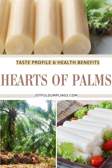 what are hearts of palm does it taste good joyful dumplings