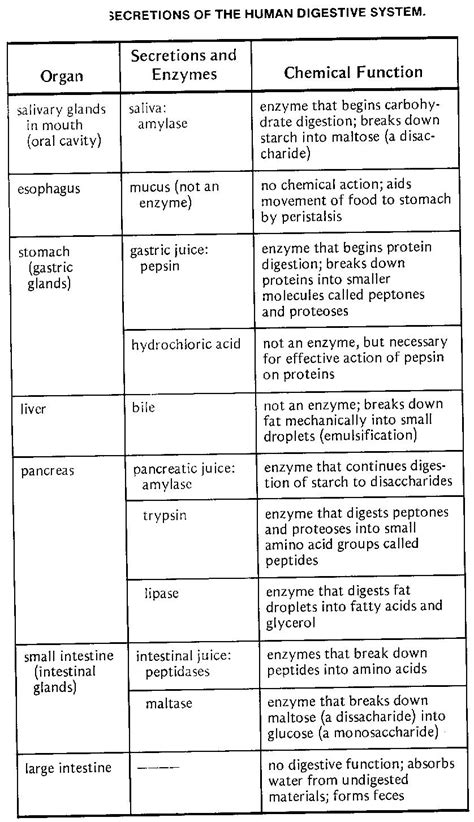 NOTES Chapter 7- The Classification of Living Things