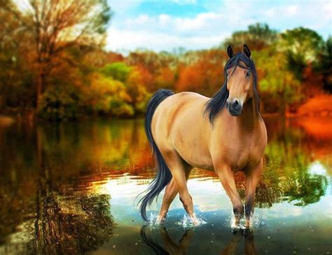 Free Horse Screensavers And Wallpapers - Wallpaper Cave