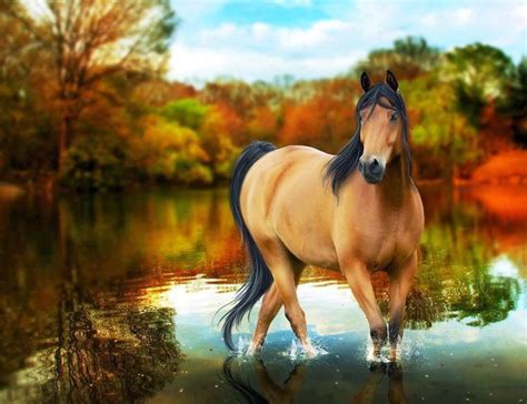 Free Horse Screensavers And Wallpapers Wallpaper Cave