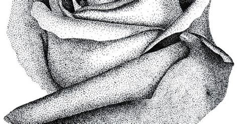 Stippling Stippled Rose By Moonlightromance16 Stippling Pinterest