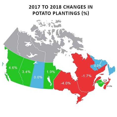 Canadian Potato Production Increases In 2018 Potatoes In