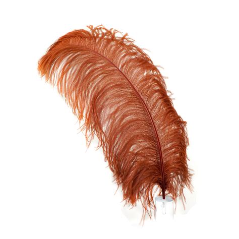 Large Ostrich Feathers 17 25 1 To 25 Pieces Prime Ostrich Femina