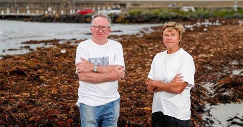 Warrnambools Seaweed Policy Back In The Spotlight As Councillors Vote