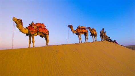 Dubai Desert Safari Hd 1024x576 Wallpaper