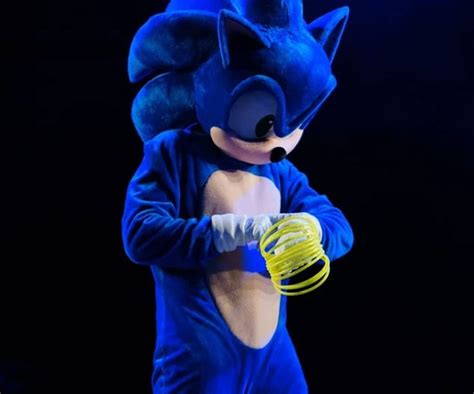 Adult Sonic The Hedgehog Costume