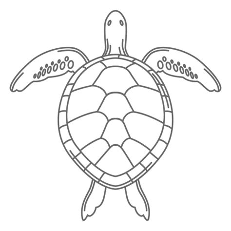 Turtle Vector Png At Collection Of Turtle Vector Png