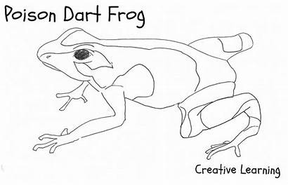 Frog Dart Poison Coloring Pages Drawing Frogs