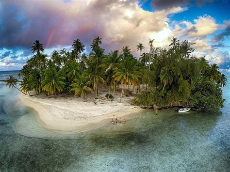 Nature Photography Landscape Island Rainbows Palm