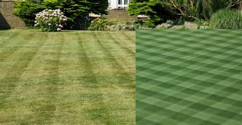 8 Stunning Grass Cutting Patterns You Should Try