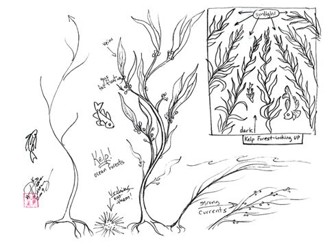You could also print the picture by. Draw Kelp - Seaweed by Diana-Huang on DeviantArt
