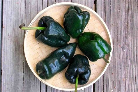 7 Types Of Mexican Green Chiles